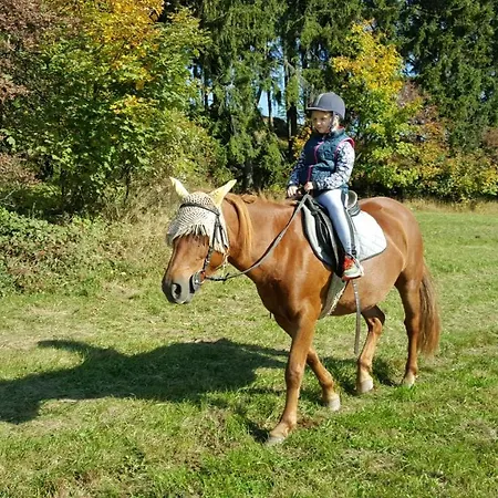 Knezice 25, V Krkonosich *